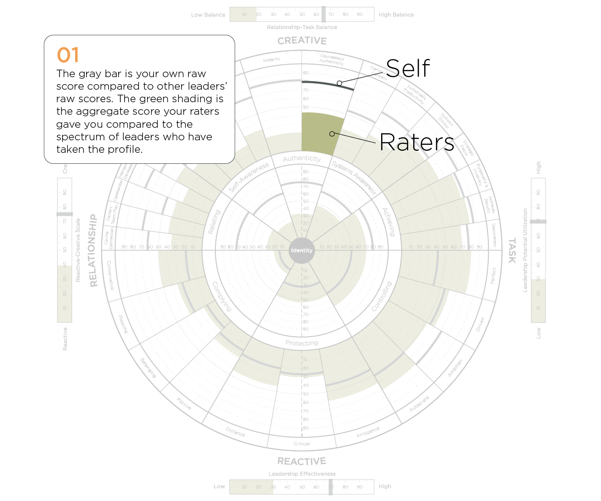 Self vs Raters