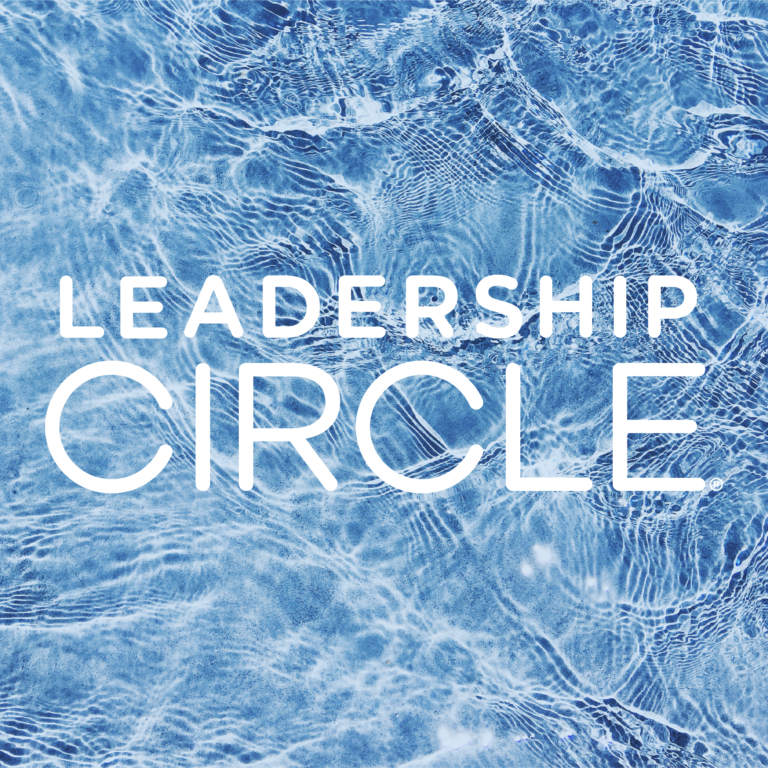 Leadership Circle Raises 20M to A FullService Leadership