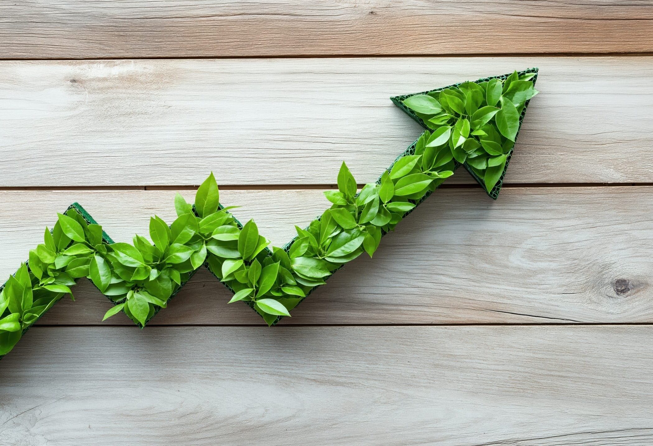 Conscious Capitalism in Asia-Pacific: Profits with Purpose in a Growing Market